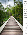 hanging bridge over river 126924495