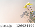 fake flowers yellow  on cream background 126924499