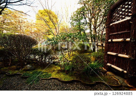 京都府　東寺 観智院・楓泉観の露地庭　京都市 南区 九条町　2022年2月 126924885