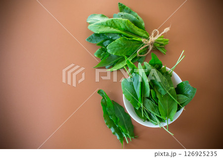 Healthy bunch of sorrel for summer dishes on brown background Healthy bunch of sorrel for summer dishes on brown background 126925235