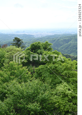 高尾山登山、東京 高尾山登山、東京 126925324