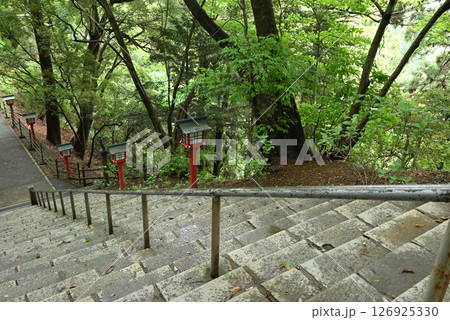 高尾山登山、東京 126925330