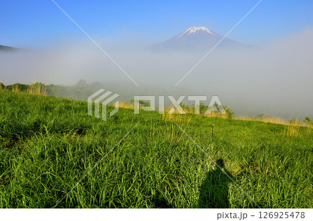 丹沢の鉄砲木ノ頭(明神山)より 霧晴に頭を出す夏富士 丹沢の鉄砲木ノ頭(明神山)より 霧晴に頭を出す夏富士 126925478