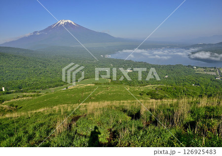 丹沢の鉄砲木ノ頭（明神山）より　初夏の富士山を眺める 126925483