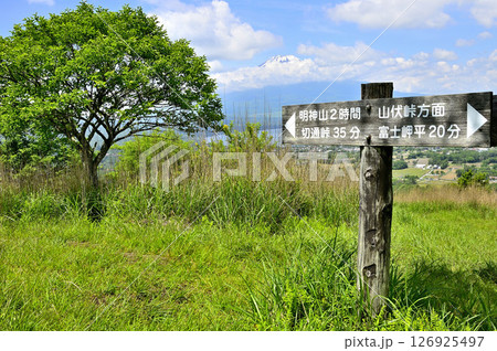 丹沢山地の甲相国境尾根　高指山山頂より望む富士山　マユミ 126925497