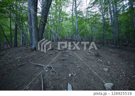 瑞牆山登山、山梨県 瑞牆山登山、山梨県 126925519