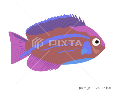 Bright and cute angelfish, colorful illustration 126926106