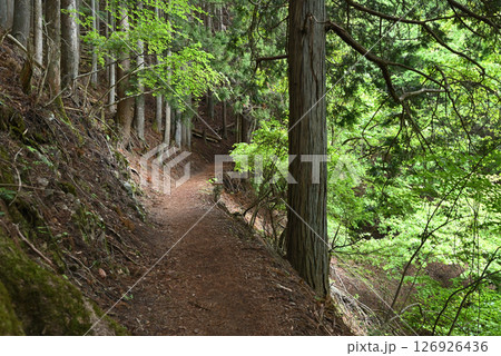 雲取山登山、東京 126926436