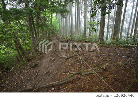 雲取山登山、東京 126926440