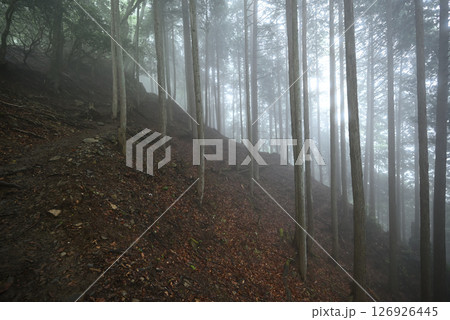 雲取山登山、東京 126926445