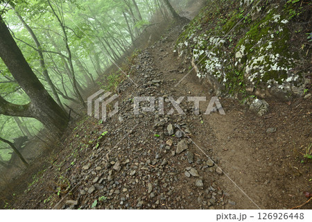 雲取山登山、東京 雲取山登山、東京 126926448