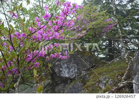雲取山登山、東京 雲取山登山、東京 126926457