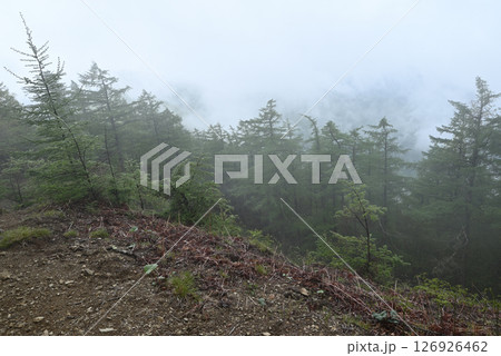 雲取山登山、東京 雲取山登山、東京 126926462