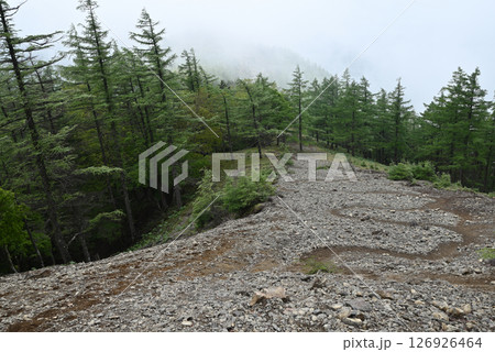 雲取山登山、東京 雲取山登山、東京 126926464