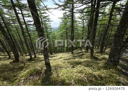 雲取山登山、東京 126926470