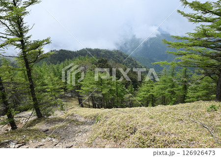 雲取山登山、東京 126926473
