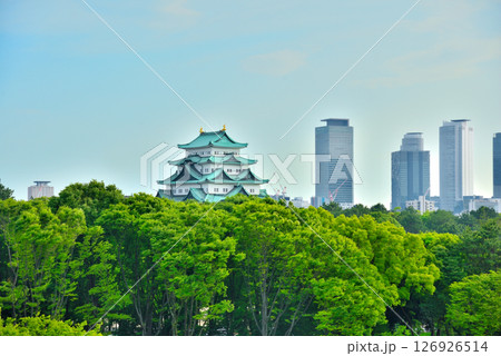 《愛知県》新緑の名城公園から望む名古屋城と高層ビル群 126926514