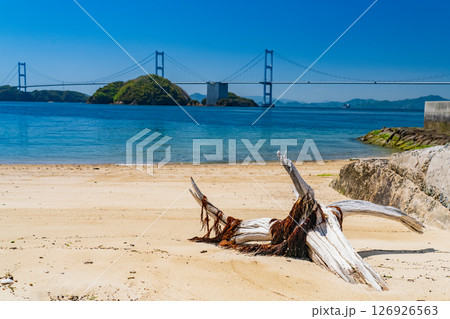 《愛媛県》来島海峡大橋をのぞむ海岸線 126926563