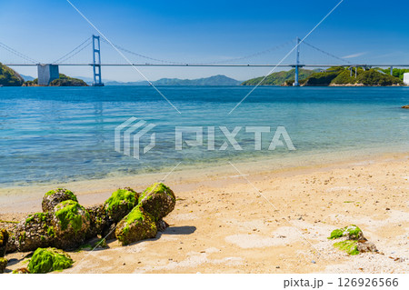 《愛媛県》来島海峡大橋をのぞむ海岸線 126926566