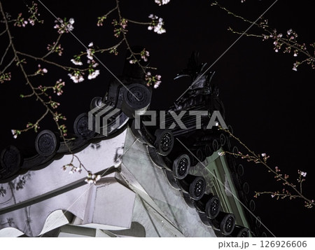 山形城跡　ライトアップされた霞城公園の夜桜 126926606