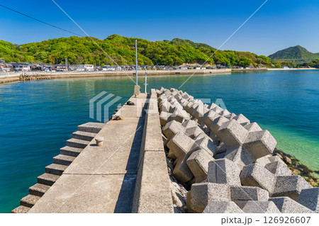 《愛媛県》来島海峡大橋をのぞむ海岸線 《愛媛県》来島海峡大橋をのぞむ海岸線 126926607