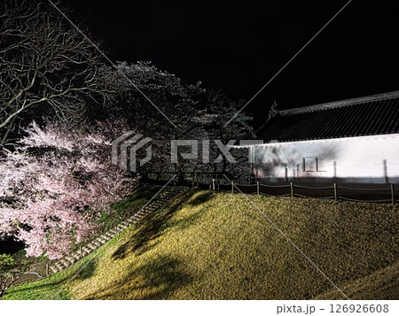 山形城跡 ライトアップされた霞城公園の夜桜 山形城跡 ライトアップされた霞城公園の夜桜 126926608
