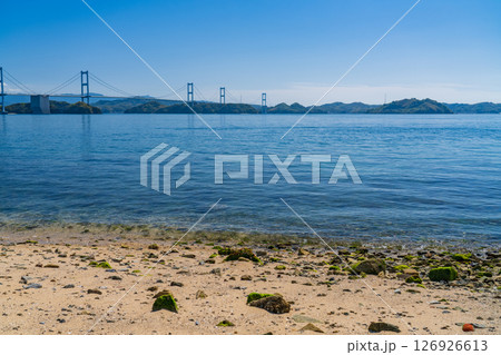 《愛媛県》来島海峡大橋をのぞむ海岸線 126926613