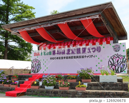 水元公園の菖蒲まつり 六月初旬 東京都葛飾区 水元公園の菖蒲まつり 六月初旬 東京都葛飾区 126926678