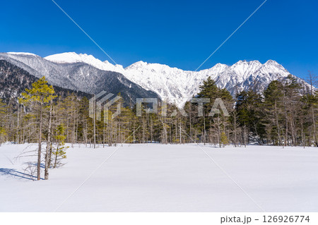 雪化粧した田代湿原から見上げる奥穂高岳と吊尾根 冬の上高地トレッキング 長野県松本市 雪化粧した田代湿原から見上げる奥穂高岳と吊尾根 冬の上高地トレッキング 長野県松本市 126926774