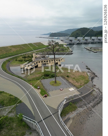 奇跡の一本松 空撮 奇跡の一本松 空撮 126926836