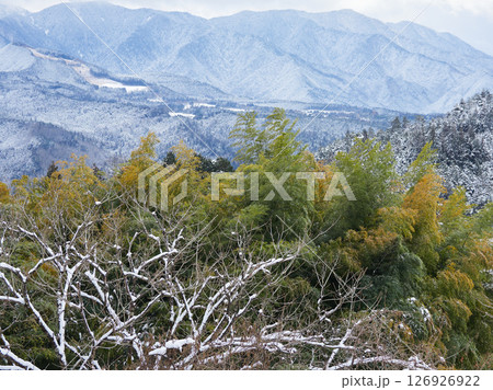 冬の日本の田舎の雪山と竹林の風景 冬の日本の田舎の雪山と竹林の風景 126926922