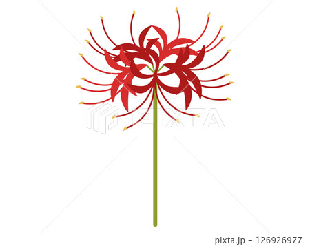 赤い彼岸花のアイコン 赤い彼岸花のアイコン 126926977