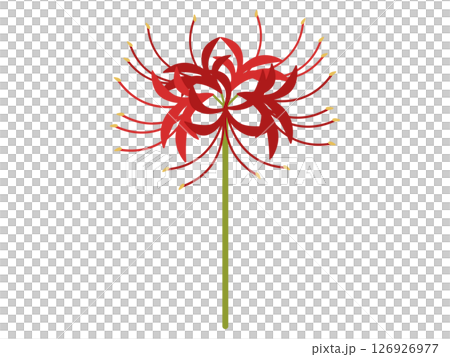 赤い彼岸花のアイコン 赤い彼岸花のアイコン 126926977