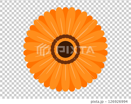 非洲菊圖標 非洲菊圖標 126926994