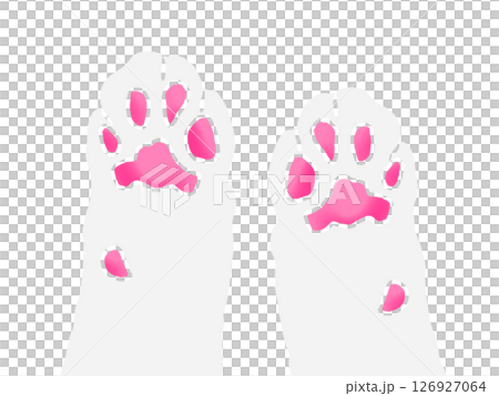 簡單的貓爪插圖（兩隻爪子） 126927064