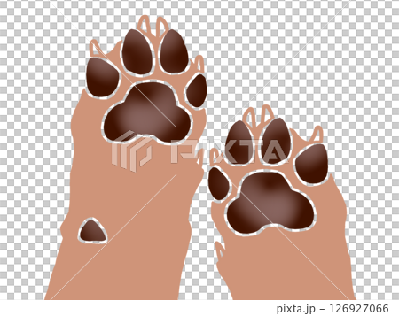 Simple dog paw illustration (both paws) 126927066