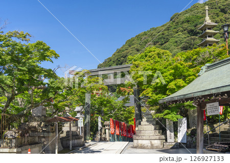 奈良　朝護孫子寺　本堂前参道 126927133