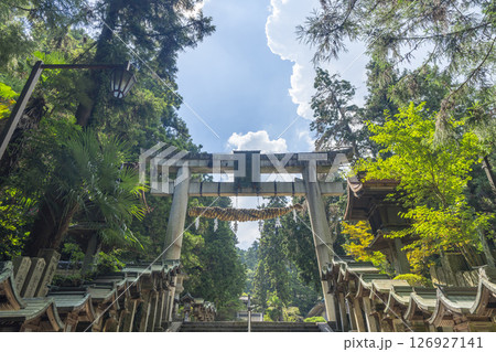 生駒山寳山寺(宝山寺) 大鳥居 生駒山寳山寺(宝山寺) 大鳥居 126927141