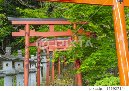 奈良 安倍文殊院 稲荷社 奈良 安倍文殊院 稲荷社 126927144