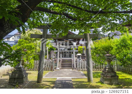 大本山妙顯寺(妙顕寺) 慶中稲荷社 大本山妙顯寺(妙顕寺) 慶中稲荷社 126927151