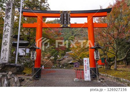 日吉大社　鳥居 126927156