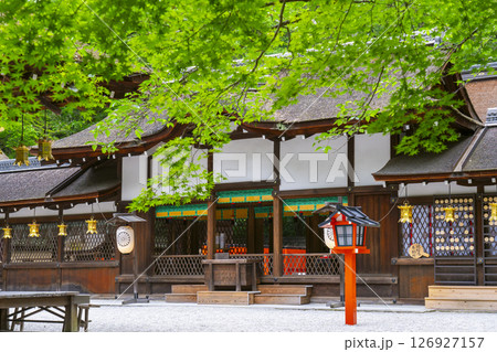 初夏の京都　新緑の河合神社　本殿 126927157