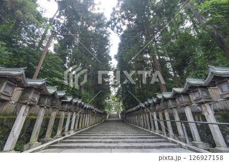 生駒山寳山寺(宝山寺)　表参道 126927158