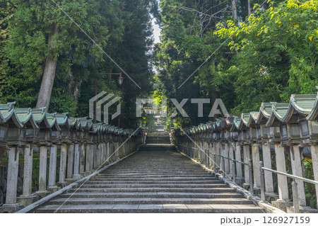 生駒山寳山寺(宝山寺)　表参道 126927159