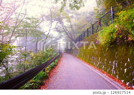 展望台遊歩道 荻町合掌造り集落 世界文化遺産 白川郷 茅葺 展望台遊歩道 荻町合掌造り集落 世界文化遺産 白川郷 茅葺 126927514