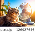 室内の窓際で扇風機の風にあたっている茶色の猫 126927636