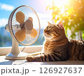 室内の窓際で扇風機の風にあたっている茶色の猫 126927637