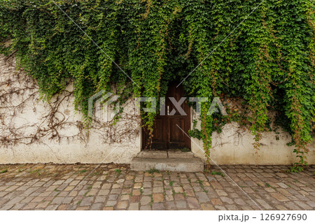Ivy covering white wall with wooden door and cobblestone street wallpapper copy space 126927690
