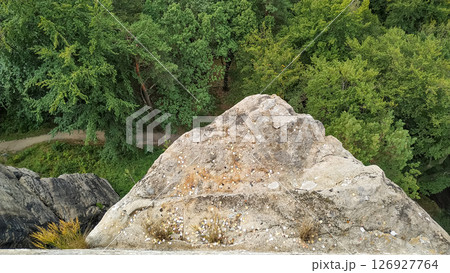 Coins on the edge of konigstein fortress overlooking lush saxon forest Coins on the edge of konigstein fortress overlooking lush saxon forest 126927764