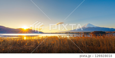 Mount Fuji and Golden Reeds at Lake Kawaguchiko 126928018